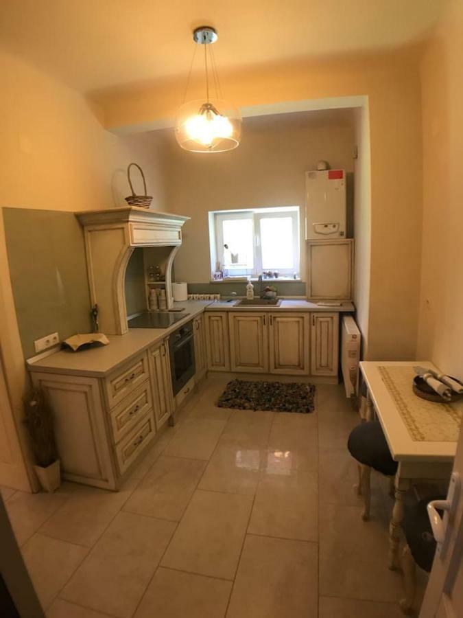 Apartment Vintige 클루지나포카 외부 사진